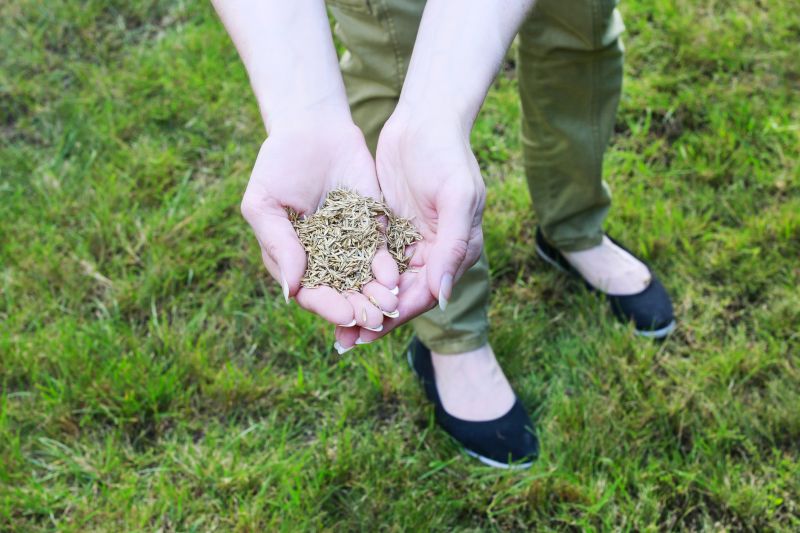 Lawn Damage from Poor Maintenance