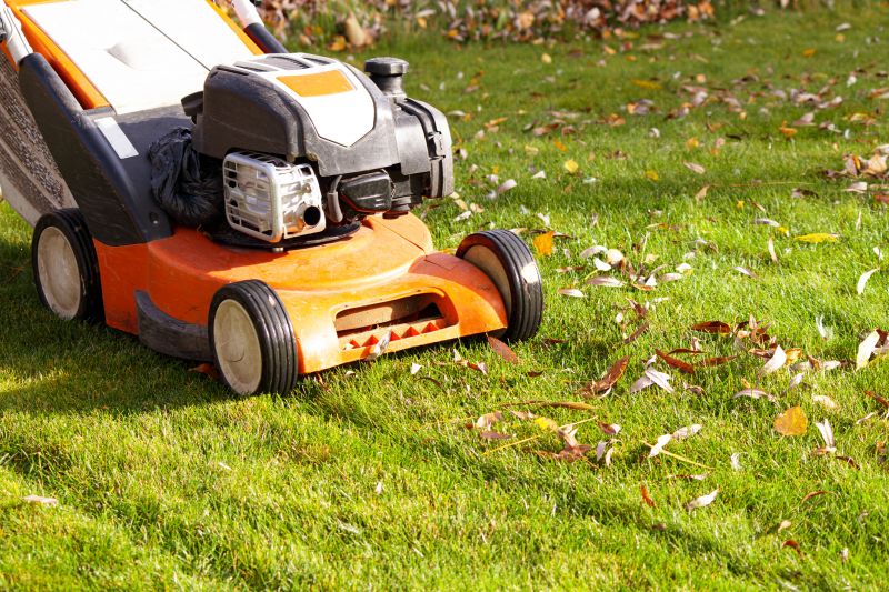 Seasonal Lawn Preparation