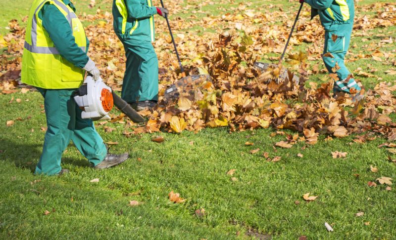 Leaf Raking in Progress