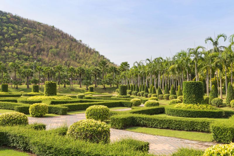 Landscape with Symmetrical Shrubs